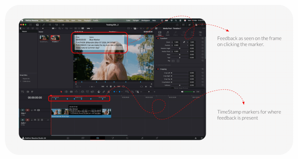 Import to DaVinci